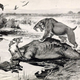Image for article titled The Truth About Real-Life Dire Wolves
